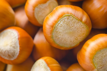 Image showing group from nuts, background from hazelnuts