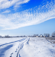 Image showing winter