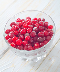 Image showing frozen cranberry