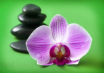 Image showing Orchid and black basalt for spa on green background