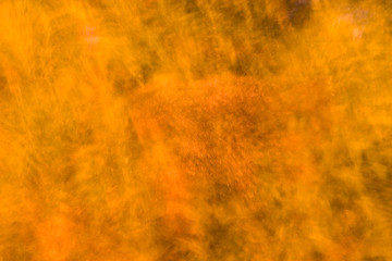 Image showing Wild Orange Abstract