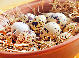 Image showing raw guail eggs