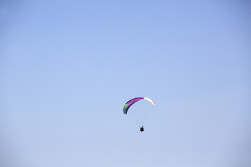 Image showing Paraglider