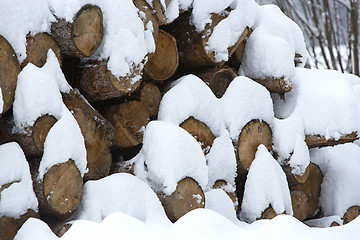 Image showing Snow covered stack of wood