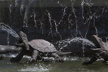 Image showing Closeup of Latona fountain at Herrenchiemsee, Bavaria