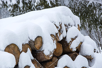 Image showing Snow covered stack of wood