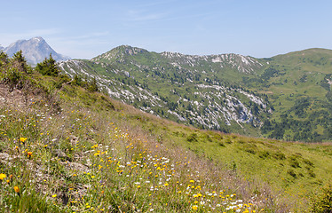 Image showing Typical view of the Swiss alps