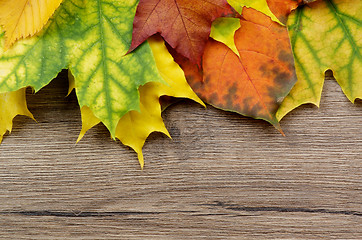 Image showing Frame of Autumn Leafs