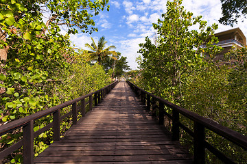 Image showing Indonesian landscape with walkway