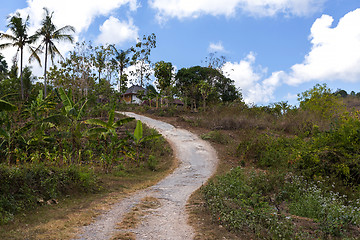 Image showing Roand on Nusa Penida Island