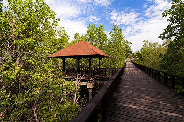 Image showing Indonesian landscape with walkway