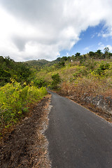 Image showing Roand on Nusa Penida Island