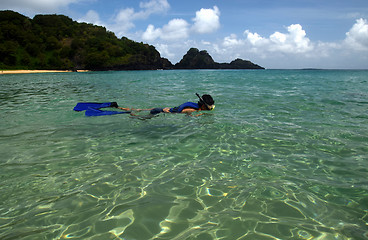 Image showing Diving in a crystalline sea beach in Fernando de Noronha,Brazil