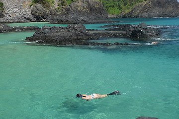 Image showing Diving in a crystalline sea beach in Fernando de Noronha,Brazil