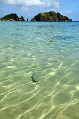 Image showing Crystalline sea beach in Fernando de Noronha,Brazil