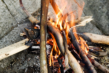 Image showing Campfire Detail