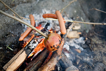 Image showing Vegetarian Wiener Roast