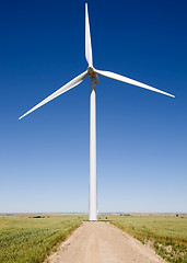 Image showing Renewable Resource