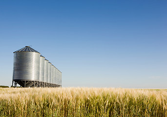 Image showing Prairie Harvest