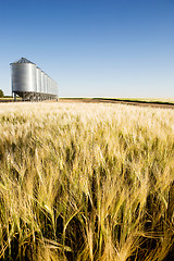 Image showing Prairie Harvest