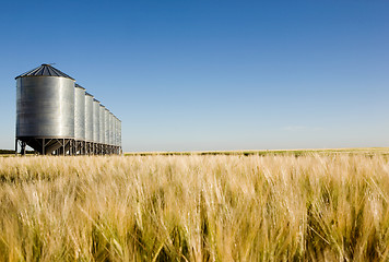 Image showing Prairie Harvest Landscape