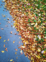 Image showing Autumn leaves on asphalt background