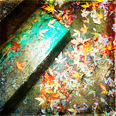 Image showing Grungy background with autumn leaves