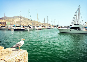 Image showing Old port in Cartagena, Spain