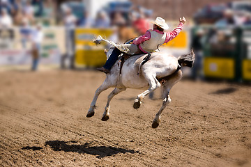 Image showing Saddle Bronc