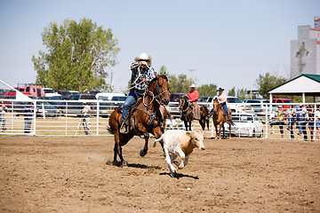 Image showing Calf Roping