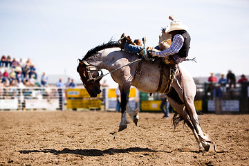 Image showing Rodeo Cowboy