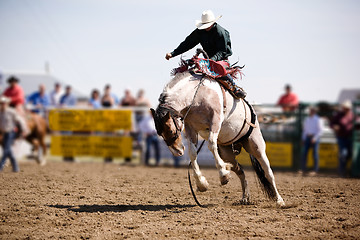 Image showing Saddle Bronc