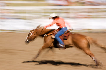 Image showing Speeding Horse