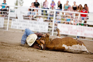 Image showing Steer Wrestling