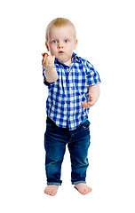 Image showing Little boy in a plaid shirt in full growth