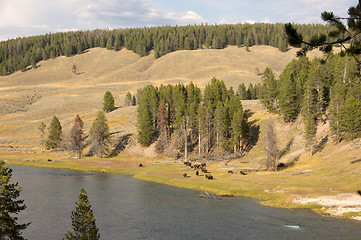 Image showing Yellowstone National Park, Utah, USA