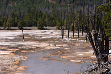 Image showing Yellowstone National Park, Utah, USA