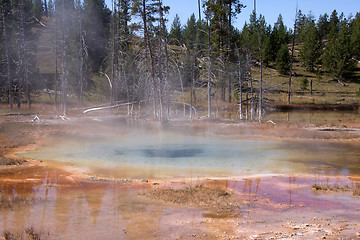 Image showing Yellowstone National Park, Utah, USA