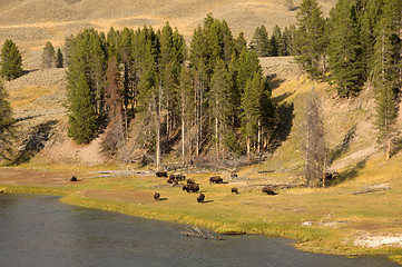 Image showing Yellowstone National Park, Utah, USA