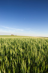 Image showing Prairie Farmland