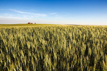 Image showing Prairie Farmland