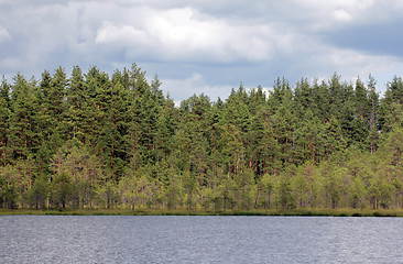 Image showing Forest Lake