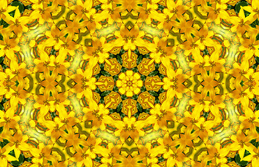 Image showing Flower abstract pattern