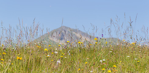 Image showing Typical view of the Swiss alps