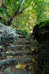 Image showing Stone staircase leading on Tembeling pool