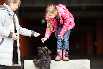 Image showing Little girls with pet