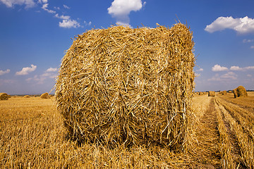 Image showing straw stack  