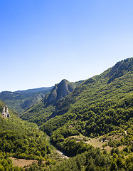 Image showing river canyon Tara  