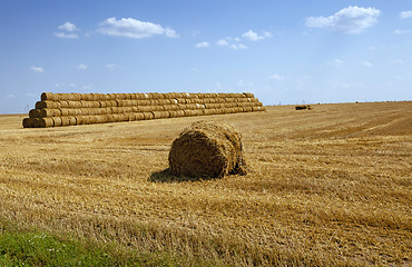 Image showing straw stack  