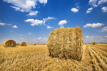 Image showing straw stack  